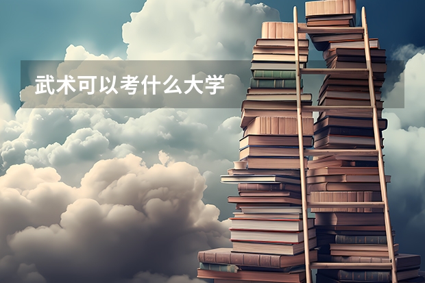 武术可以考什么大学