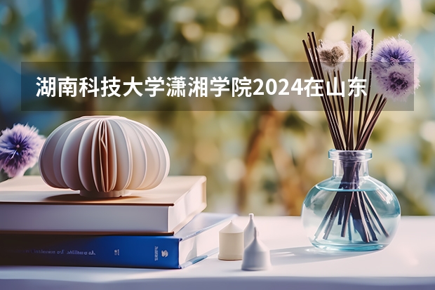 湖南科技大学潇湘学院2024在山东招生计划是什么