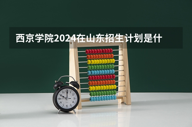 西京学院2024在山东招生计划是什么