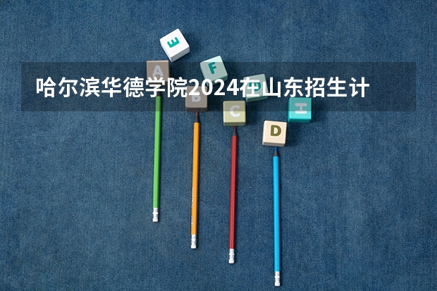 哈尔滨华德学院2024在山东招生计划是什么