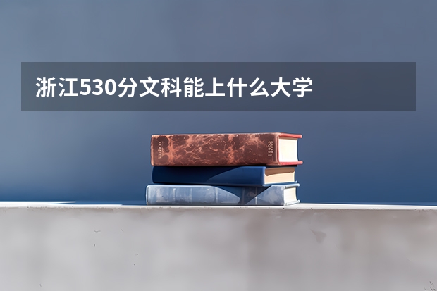 浙江530分文科能上什么大学