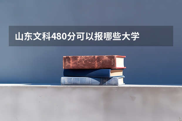 山东文科480分可以报哪些大学