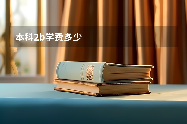 本科2b学费多少