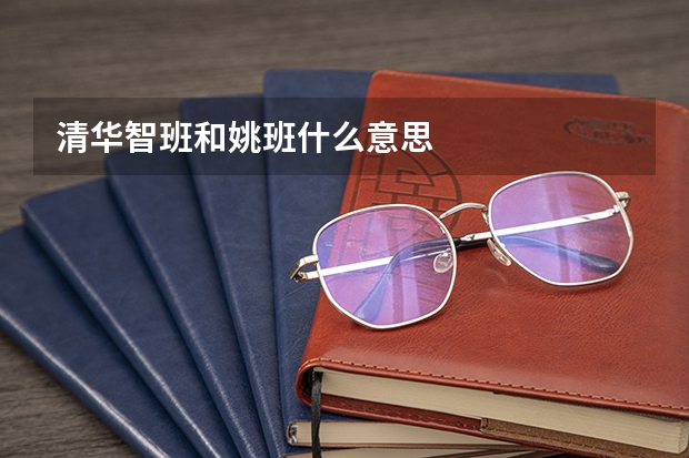 清华智班和姚班什么意思