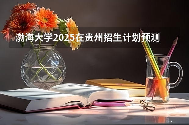 渤海大学2025在贵州招生计划预测