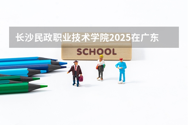 长沙民政职业技术学院2025在广东招生计划预测