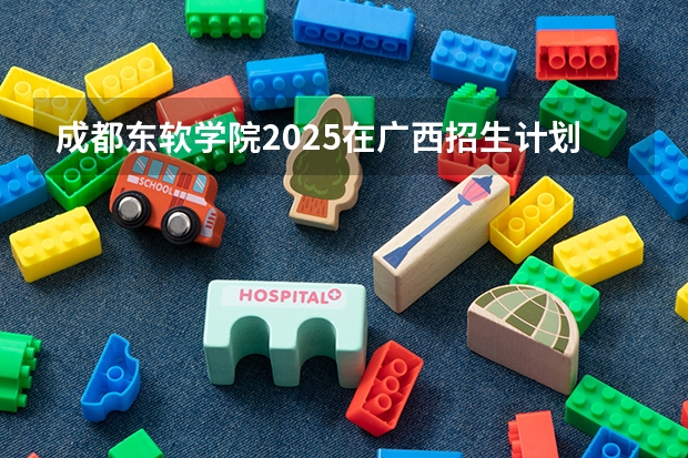成都东软学院2025在广西招生计划预测