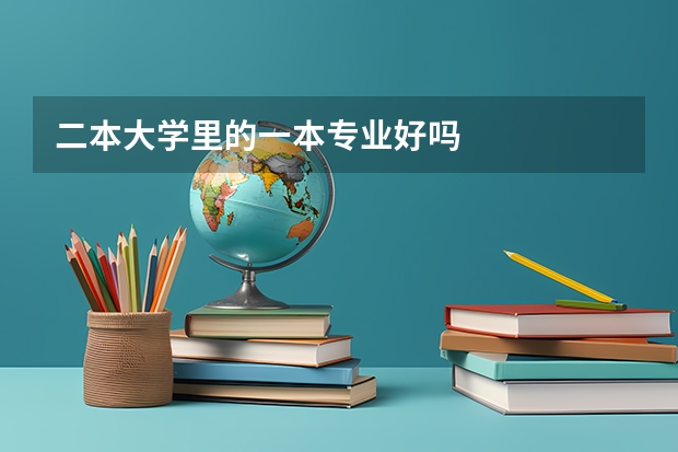 二本大学里的一本专业好吗