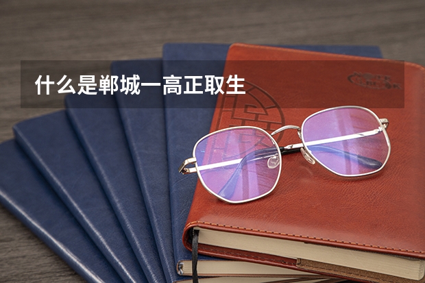 什么是郸城一高正取生