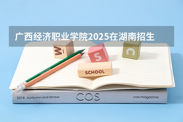 广西经济职业学院2025在湖南招生计划预测