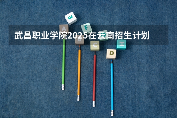 武昌职业学院2025在云南招生计划预测