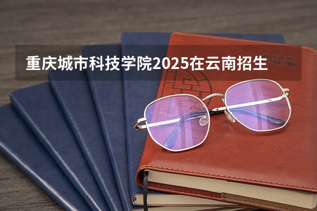 重庆城市科技学院2025在云南招生计划预测