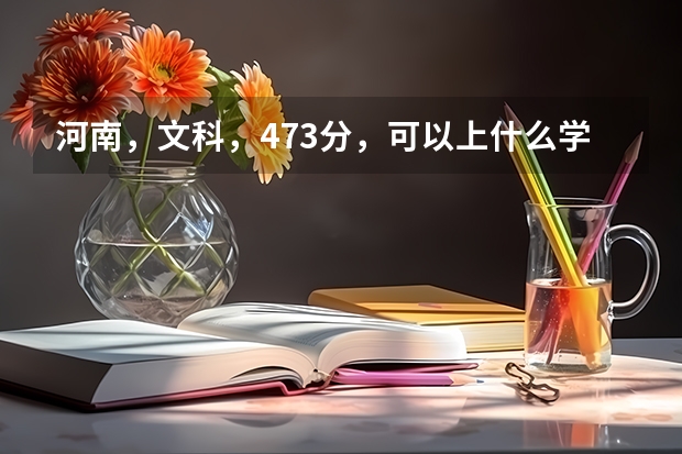 河南，文科，473分，可以上什么学校？
