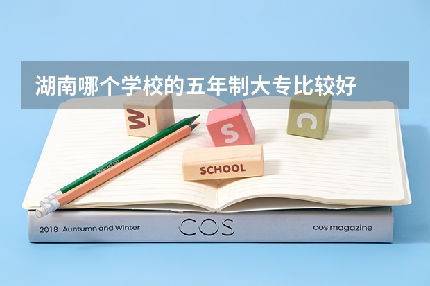 湖南哪个学校的五年制大专比较好