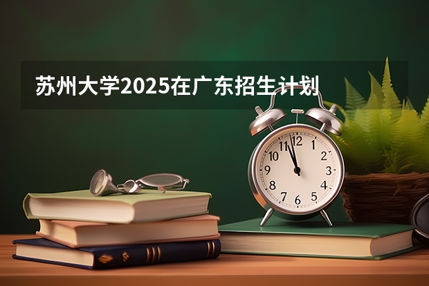 苏州大学2025在广东招生计划