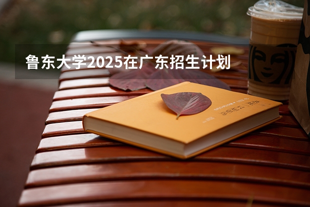 鲁东大学2025在广东招生计划