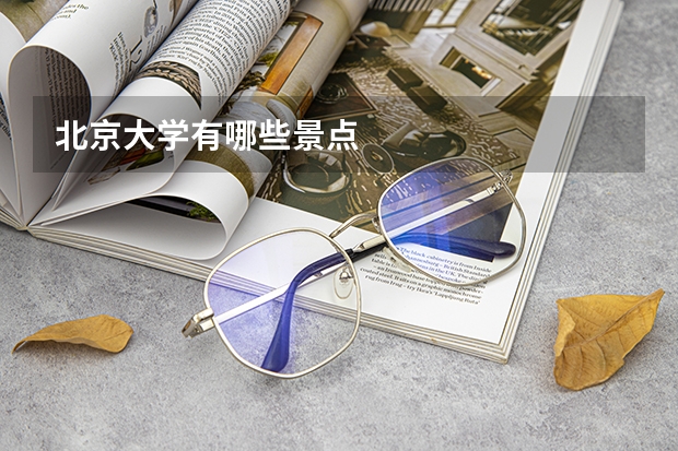 北京大学有哪些景点