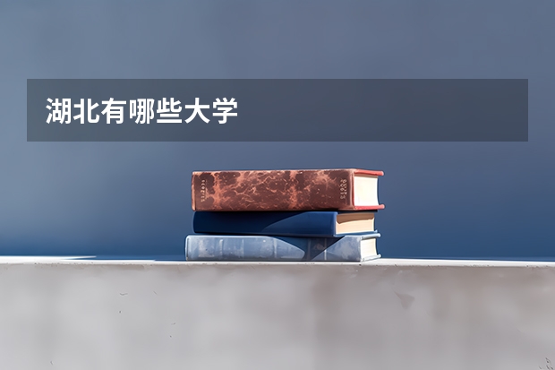 湖北有哪些大学