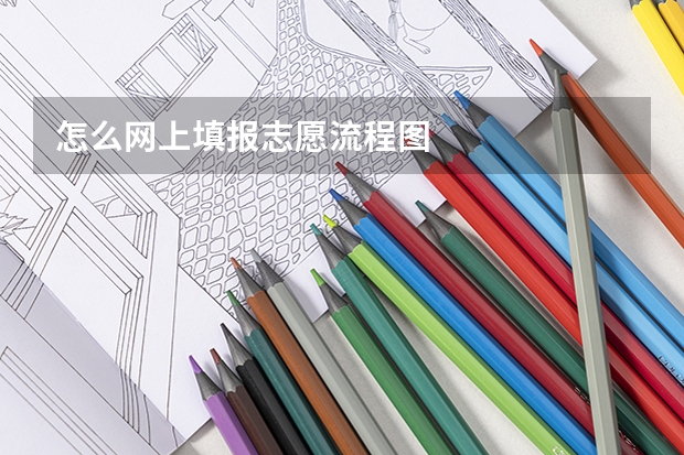 怎么网上填报志愿流程图